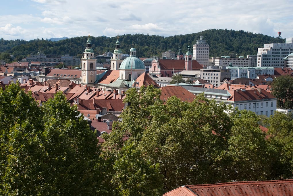 The view from the house roof to the city side. City Chatedral is about 3 minutes away.