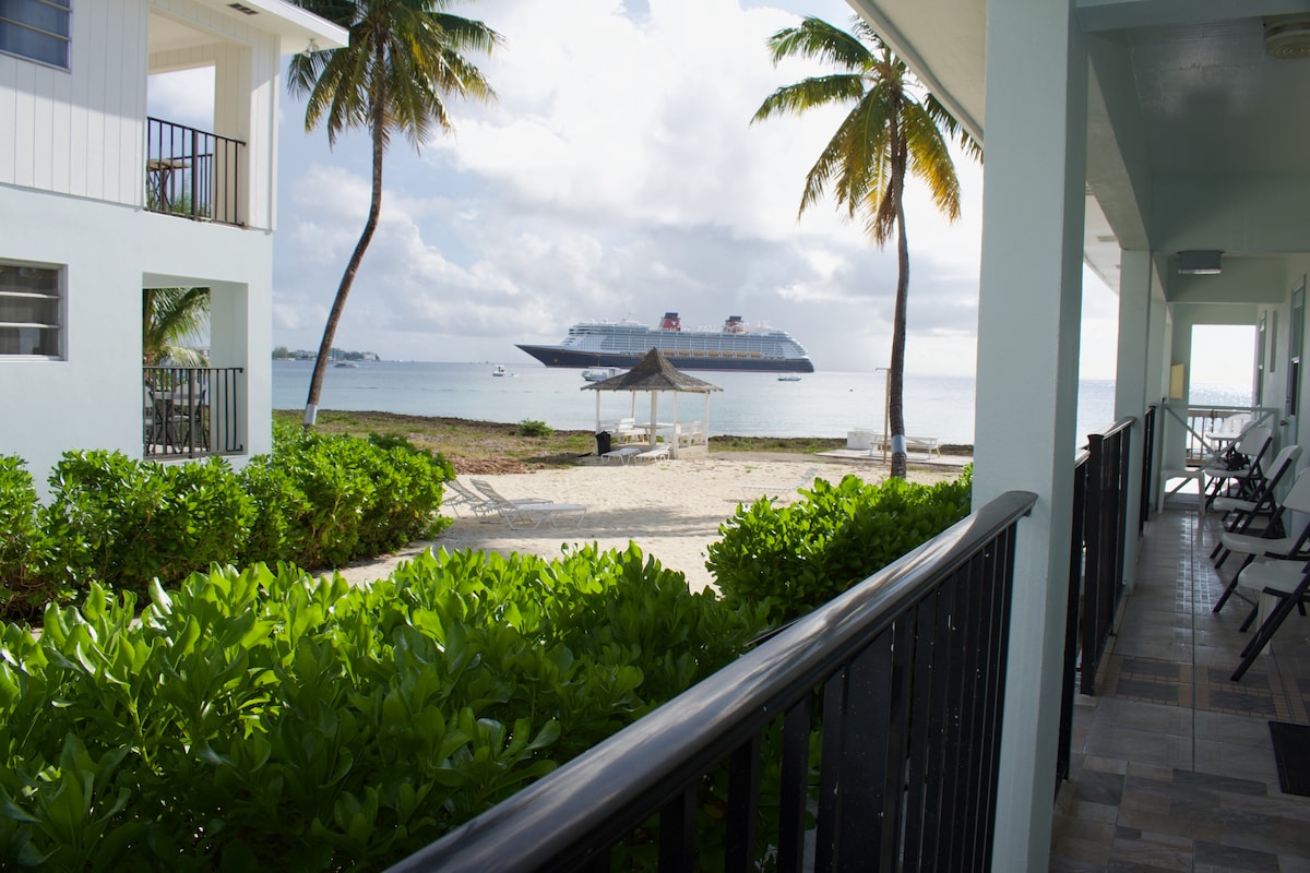 A view from the balcony showcases lush green landscaping and sandy beach areas. Palm trees sway gently in the breeze, framing a distant cruise ship anchored off the coast. The image captures a serene combination of nature and coastal scenery.