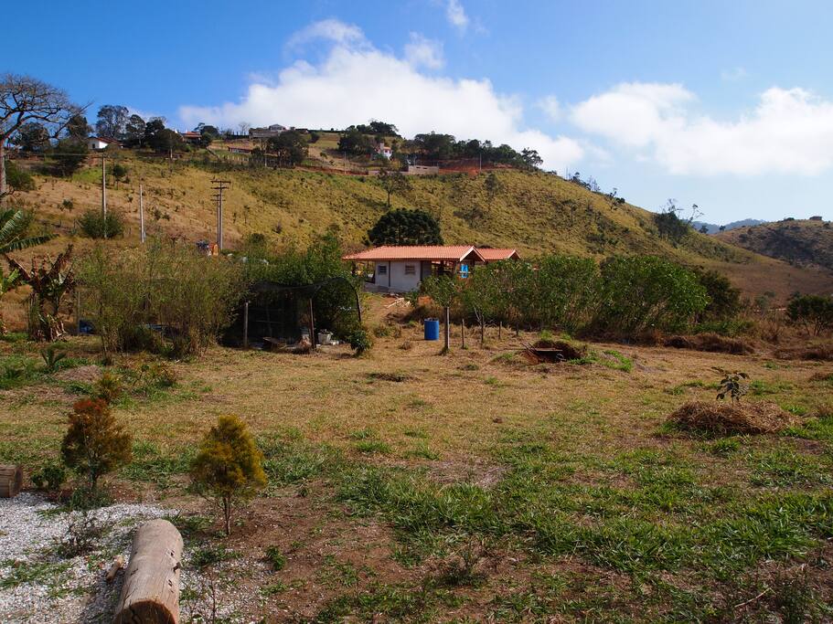 Vista