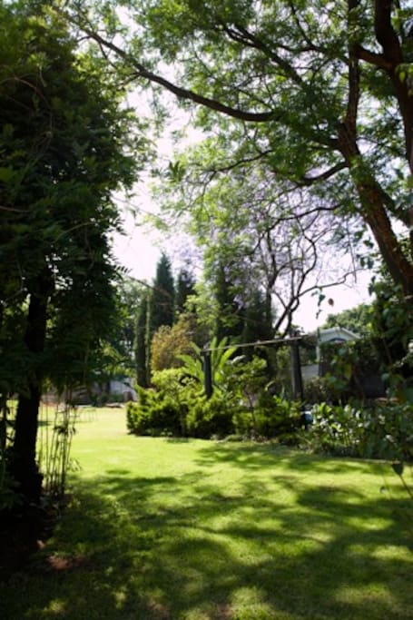 Glorious garden