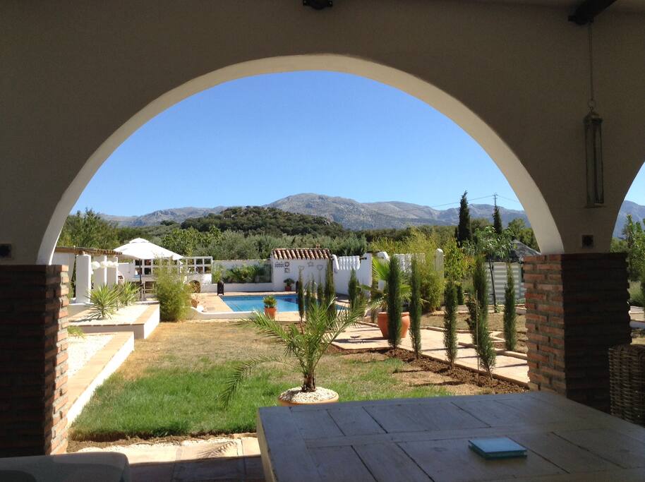 view of the garden from the terrace