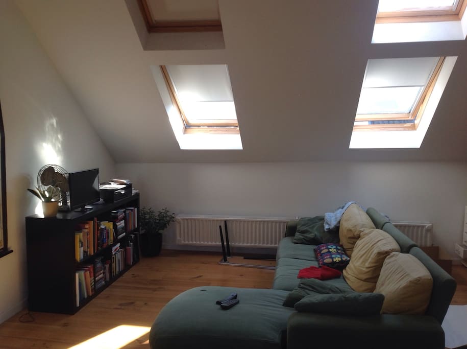 Dvd player and couch / extra bed