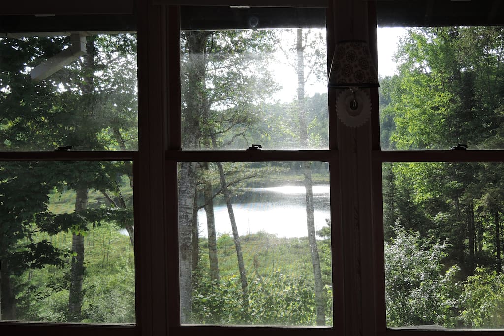 View from Living Room