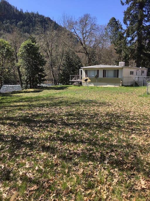 back yard