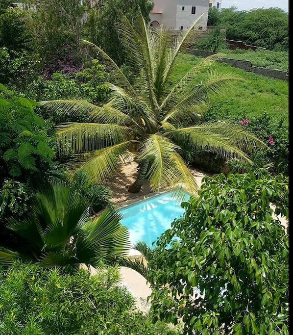 piscine vue de la deuxième terrasse (solarium)