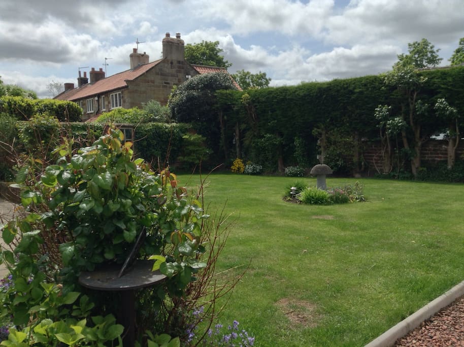 South facing garden
