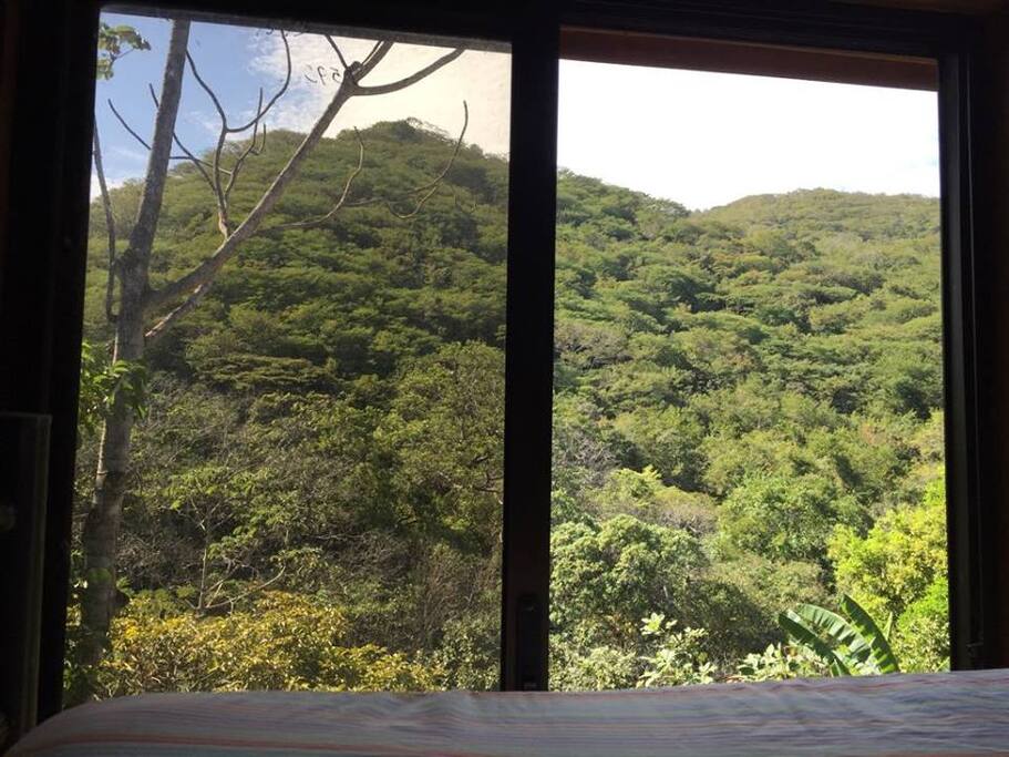Vista a la naturaleza desde la cama principal.