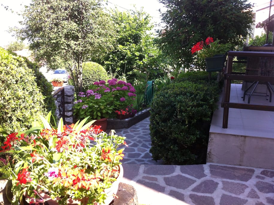 Flower garden