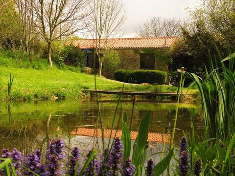Casa familiar en medio del bosque