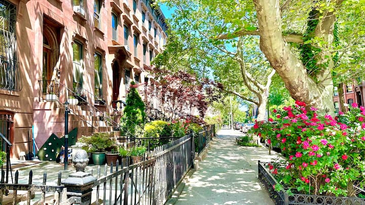 Stuyvesant Heights Apartment Exterior