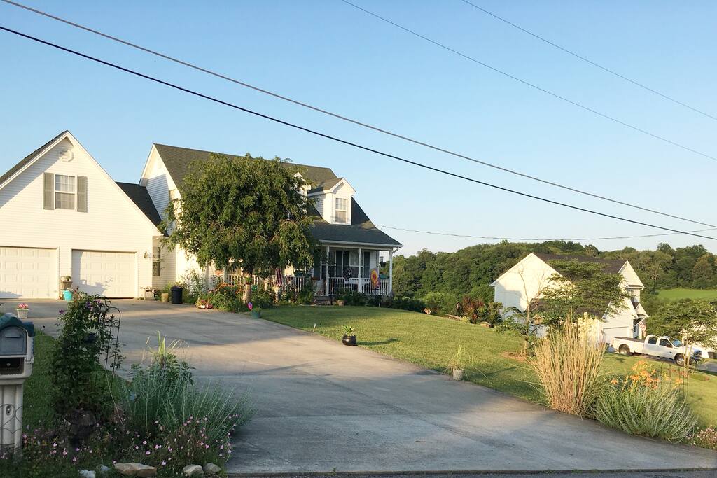 Picture of property