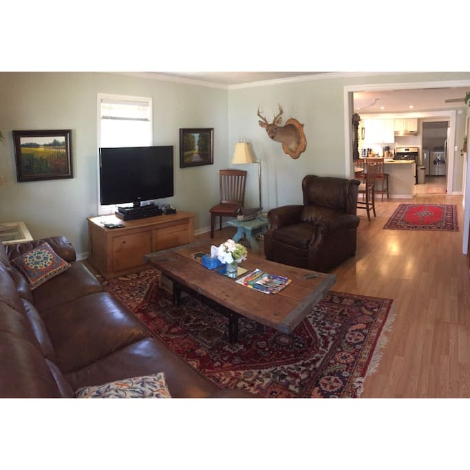Living room with Netflix and Amazon Fire TV