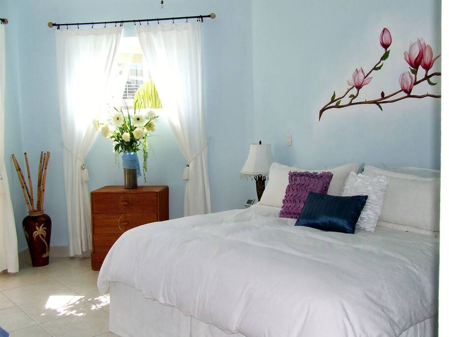 Lit King avec TV écran plat et air climatisé - King size bed with flat screen TV and air conditioning