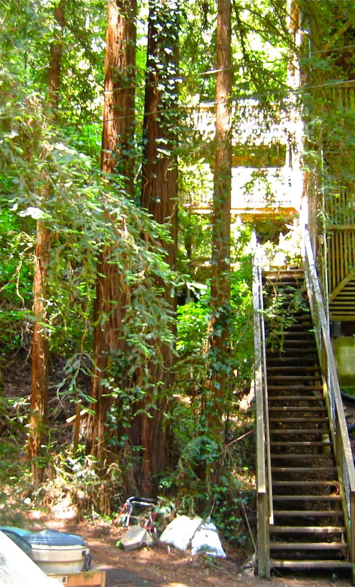 Tower Room in Tree House Bungalows for Rent in Mill Valley, California, United States Airbnb Tower Room in Tree House Bungalows for Rent in Mill Valley, California, United States Airbnb