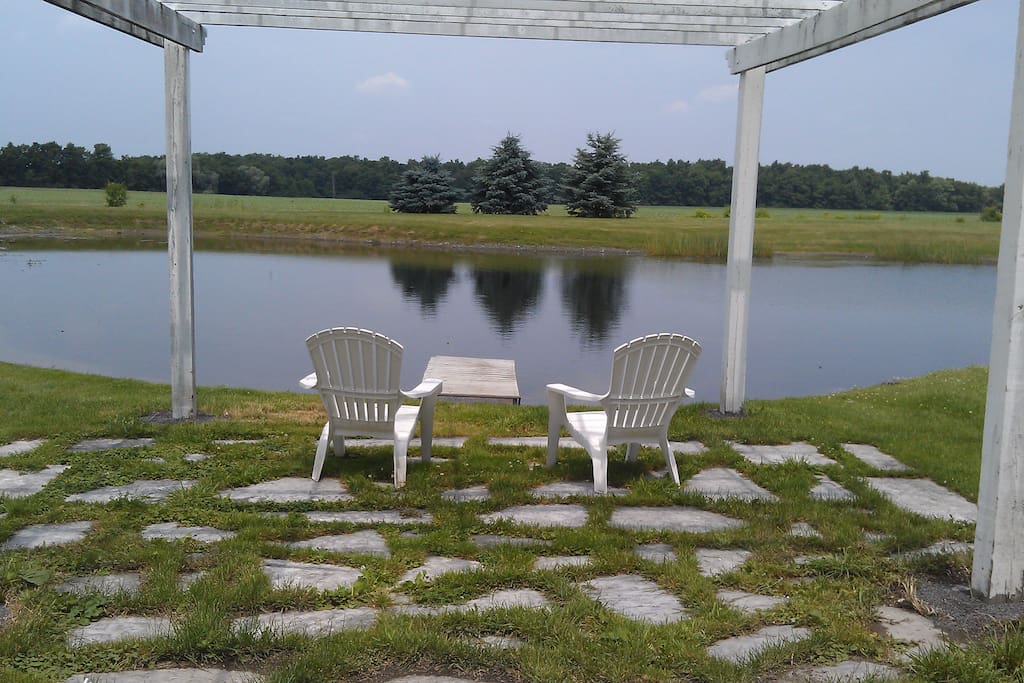View of the pond