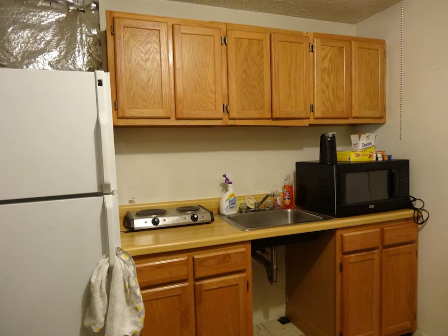 kitchenette with hot plate, sink, microwave, electric can opener