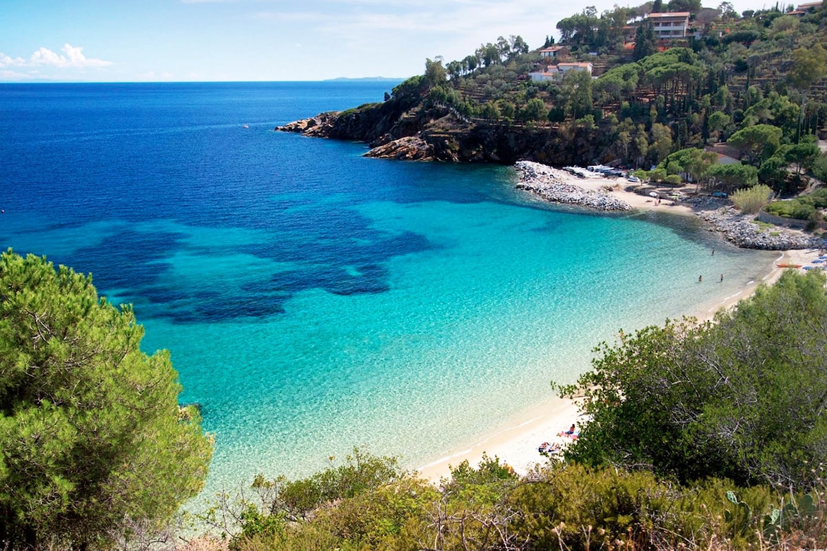 A serene beach scene showcases calm turquoise waters gently lapping against a sandy shore. Lush greenery and coastal vegetation frame the beach, with rocky outcrops visible in the distance. A few individuals can be seen walking along the shore, contributing to a sense of leisure and relaxation.
