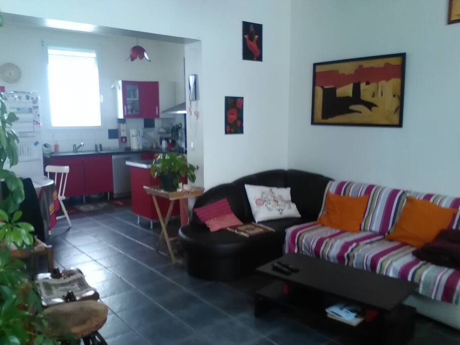 Coté salon par l'entrée 20 m2