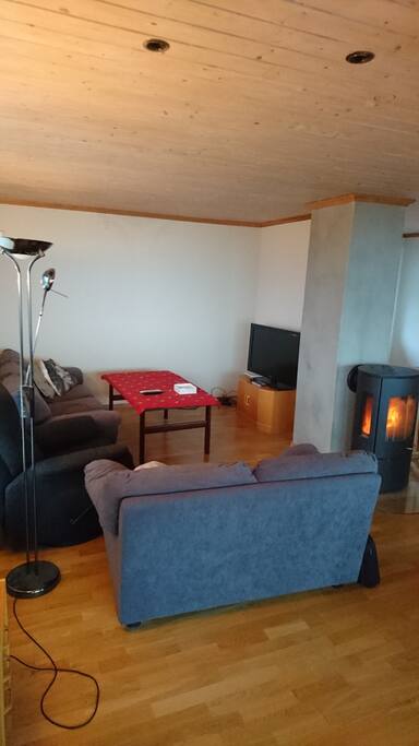 Tv and fireplace in the livingroom.