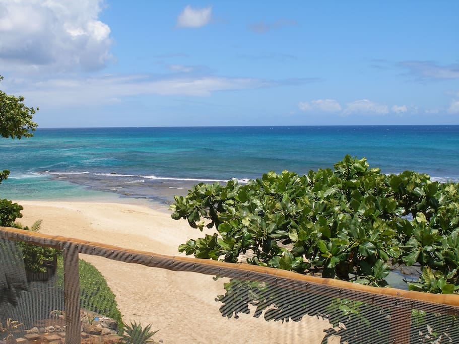Beach out front is all white sand with a large swimming lagoon, tidepools, great snorkel spot !