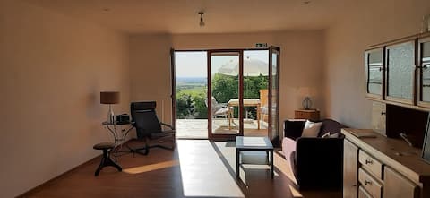 Top performing Airbnb: House SCHAU INS LAND Hambach in Neustadt An Der Weinstraße