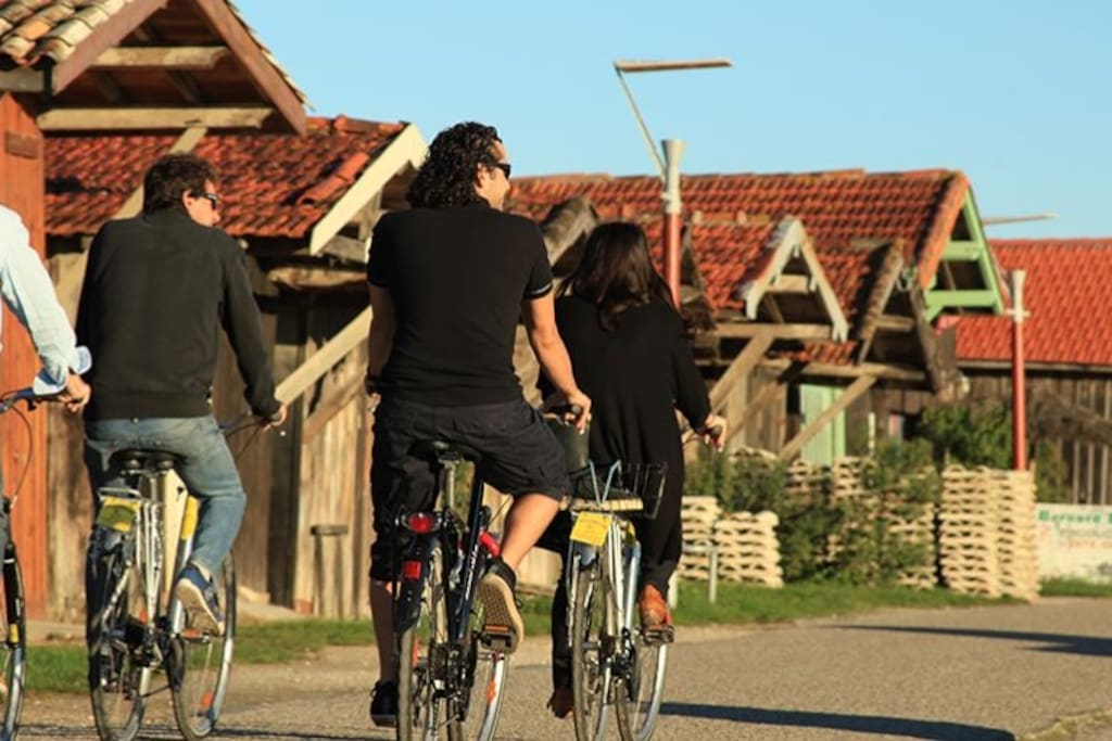 piste cyclable sur tout le bassin