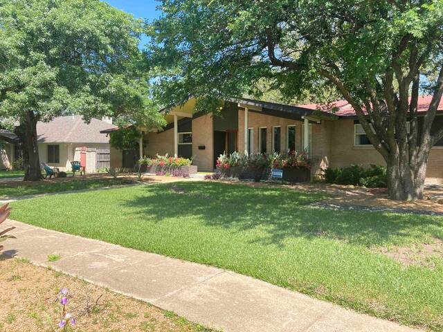 Mid-Century Mod Comfort: Business or Pleasure! gallery image 3