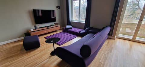 Top performing Airbnb: P25 - Luxurious apartment on Palaisplatz in Dresden