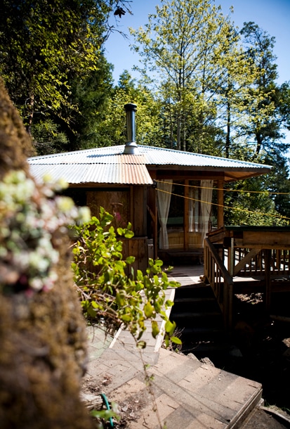 A charming cabin is nestled among trees, featuring a corrugated metal roof and wooden exterior. A deck leads to the entrance, with large windows allowing natural light to enter. Lush greenery surrounds the pathway, enhancing the secluded ambiance of the retreat.