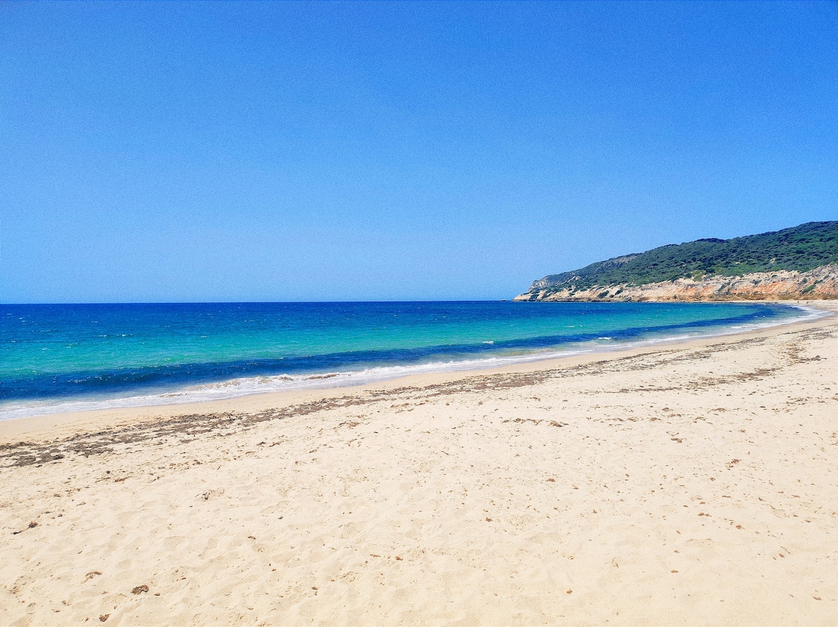 A tranquil beach scene features smooth sand stretching along the shoreline, bordered by clear turquoise waters. Gentle waves lap at the sand, while a verdant cliffside rises in the background, enhanced by the bright blue sky overhead.