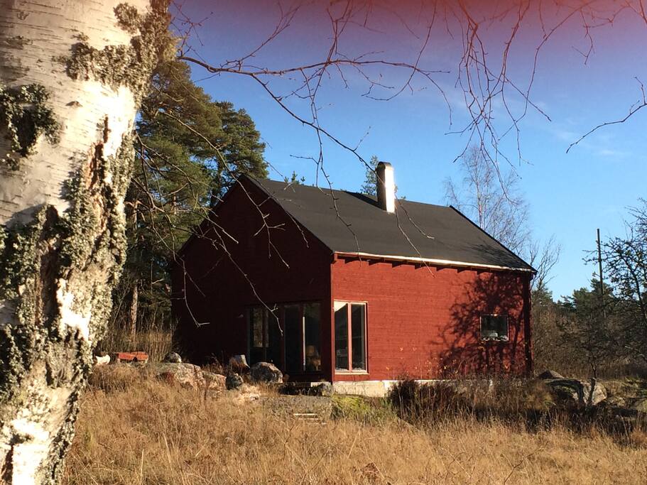 Nya huset