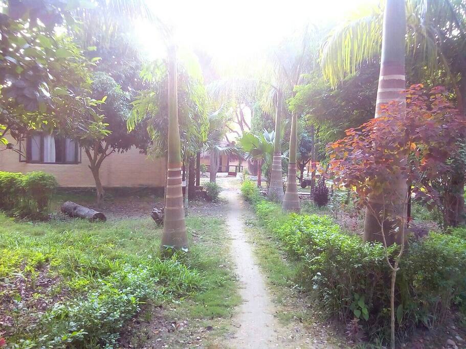 Towards the cottages.
