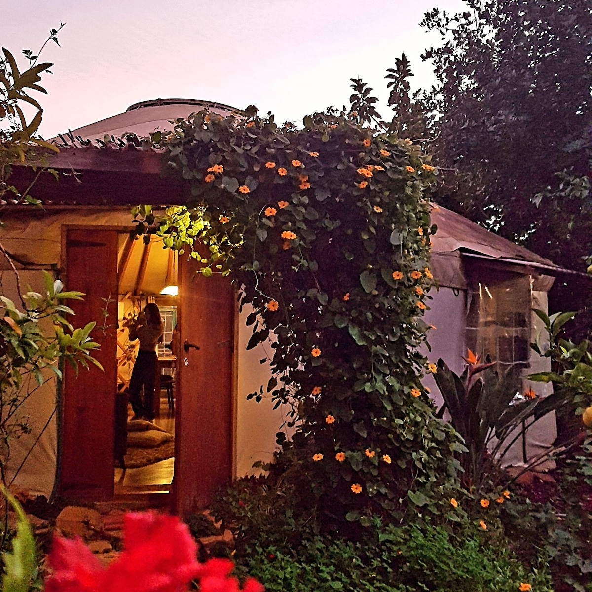 The entrance to a yurt is framed by vibrant greenery and blooming flowers. Soft lighting emanates from inside, creating a welcoming glow. Natural elements surround the doorway, enhancing the connection to the garden and inviting guests to explore the space beyond.