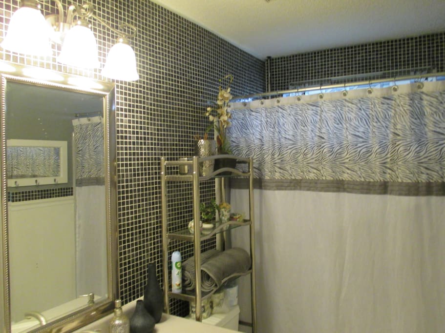 Updated bathroom