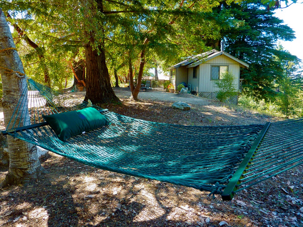 Redwood Cabin — view 3