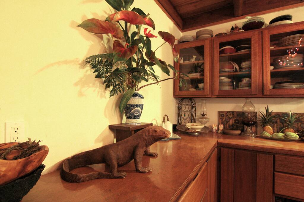 Hale O'Kakuis Houses for Rent in Keaau