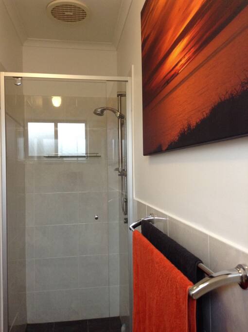Shower in Guest Bathroom