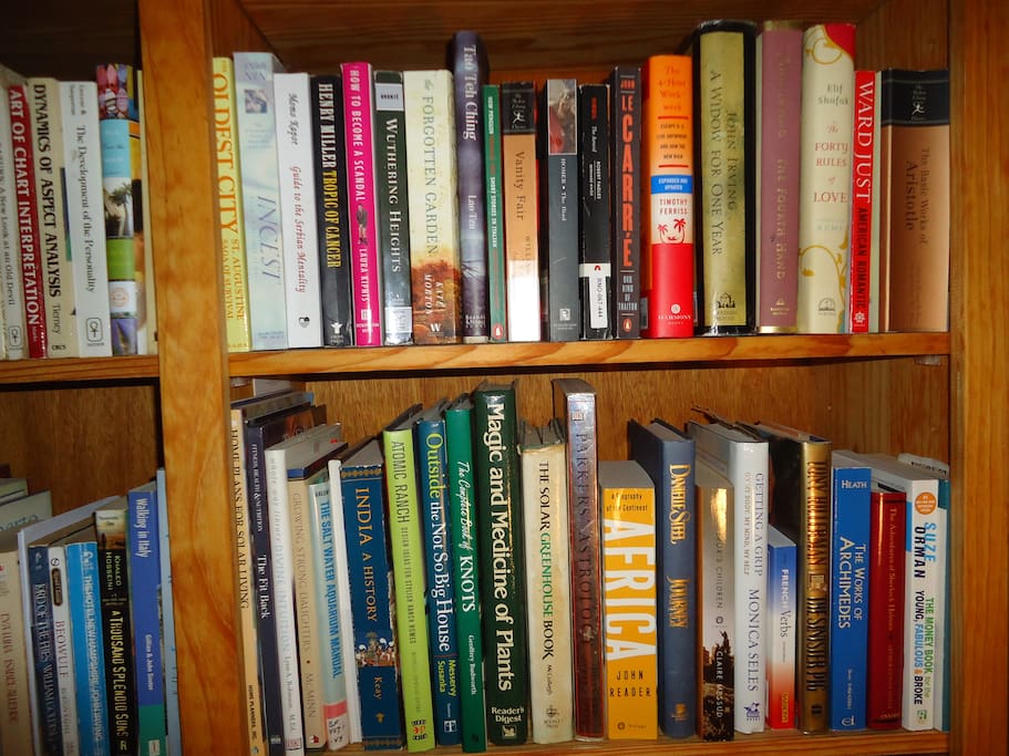 Some books on the shelf in main sitting room