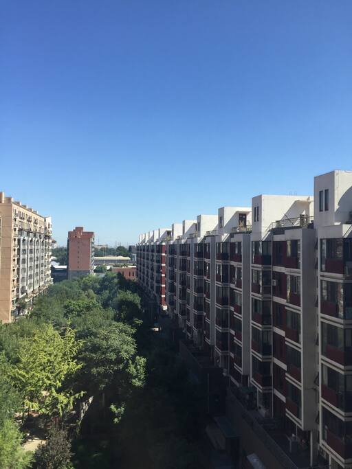 窗外的风景 超级好的采光