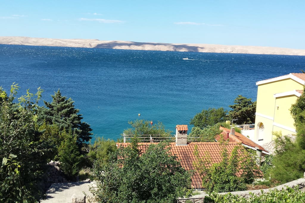 View from house