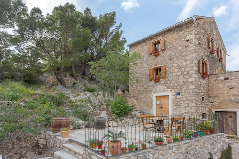Top performing Airbnb: Rustica House in Lozovac
