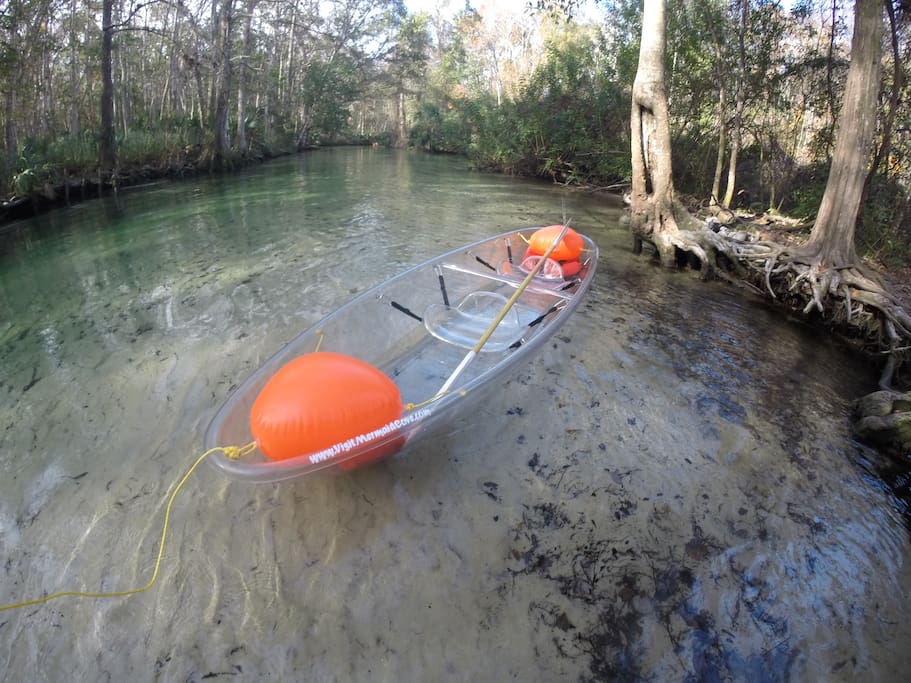 We also have two clear kayaks available for rent!