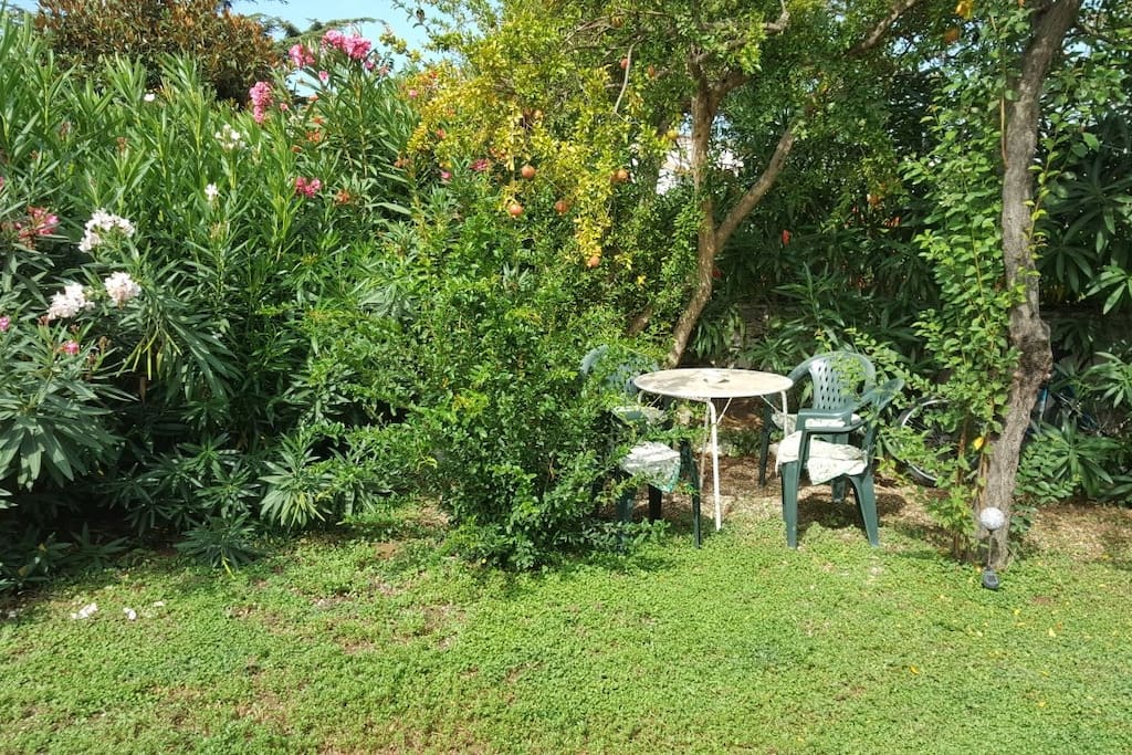 Giardino