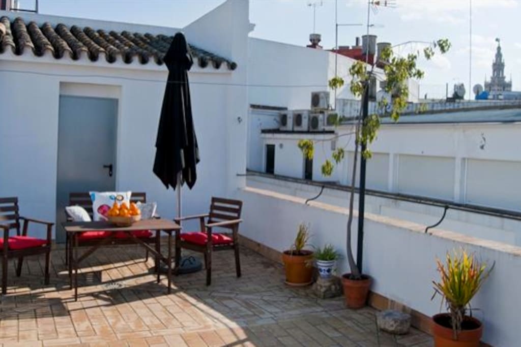 Terrace