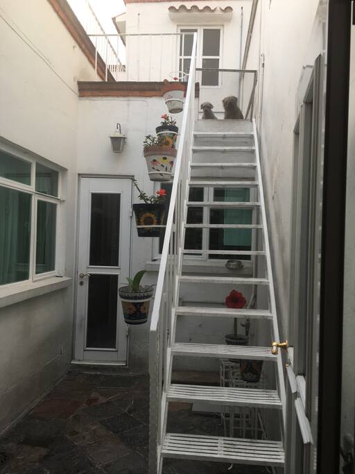 Los patios típicos de Puebla! Escalera por donde se sube a la habitación.