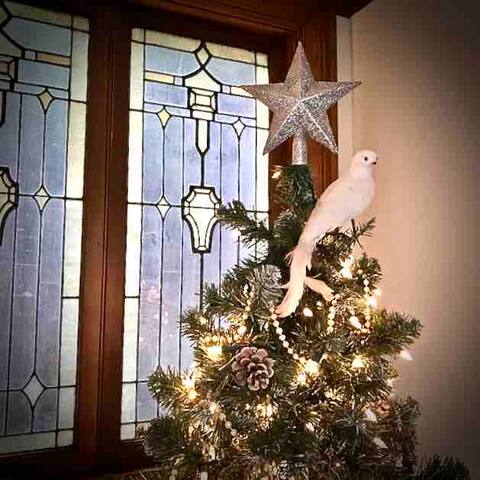 The Jacobberger House Portland’s Historic 5 star gallery image 5