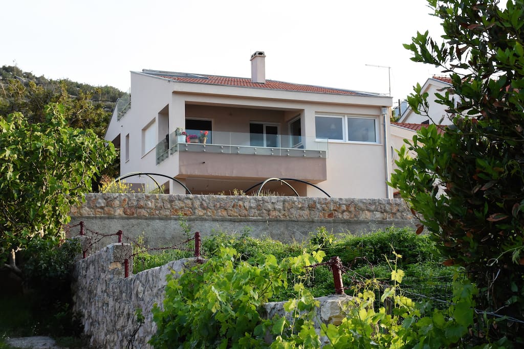 Front of the house