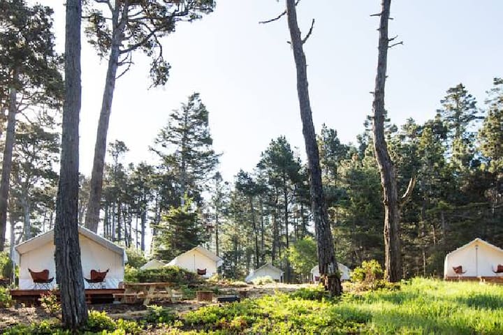 Mendocino Grove managed Airbnb listing 2