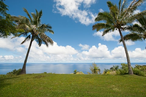 2 BD ocean cliff,fruit, epic views!