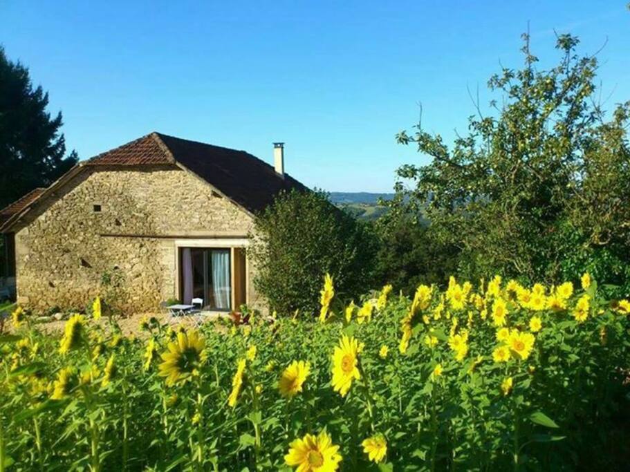 la maison côté nord, aujourd'hui rénové